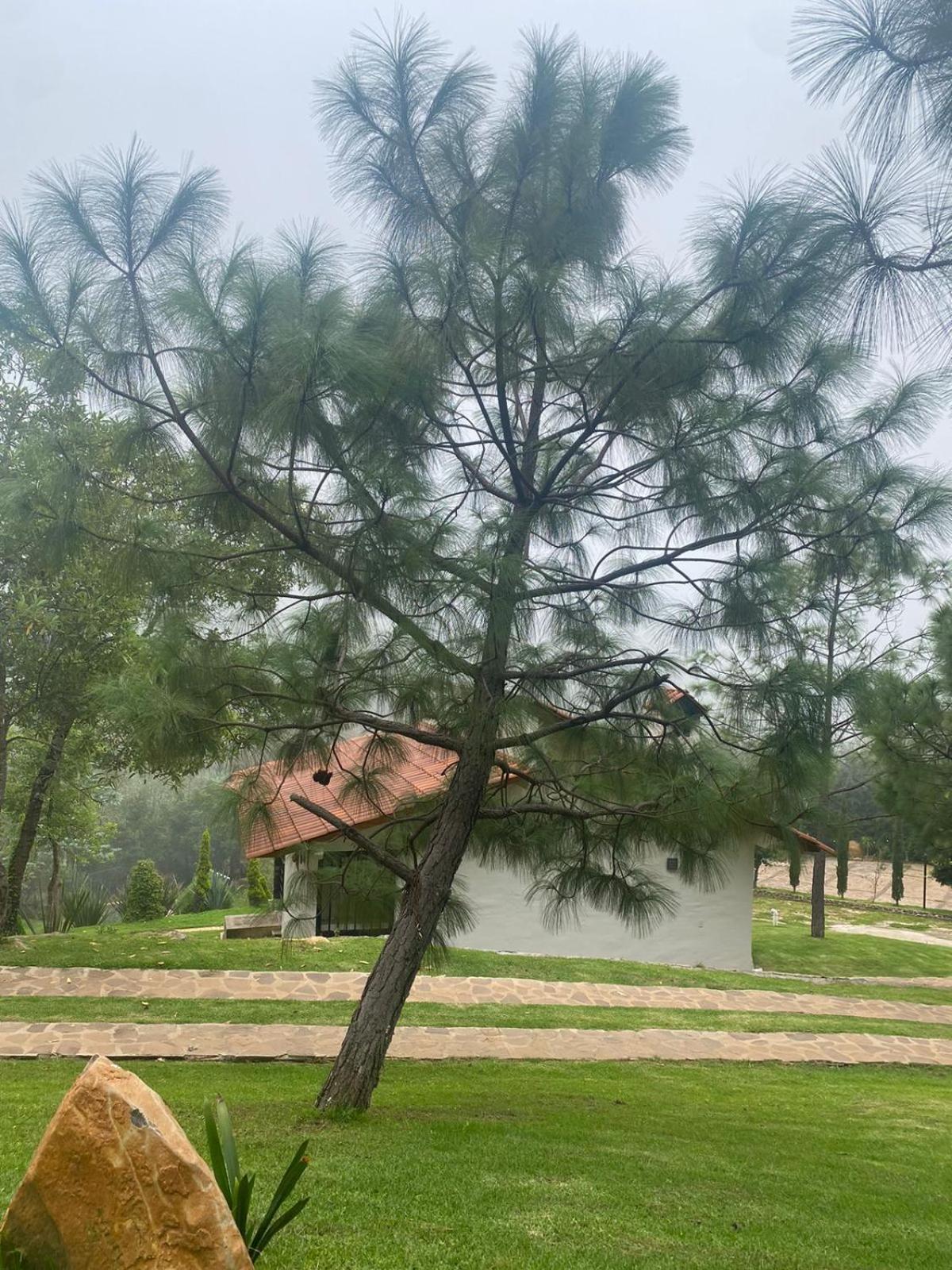 Cabanas Santorito Mazamitla Ngoại thất bức ảnh